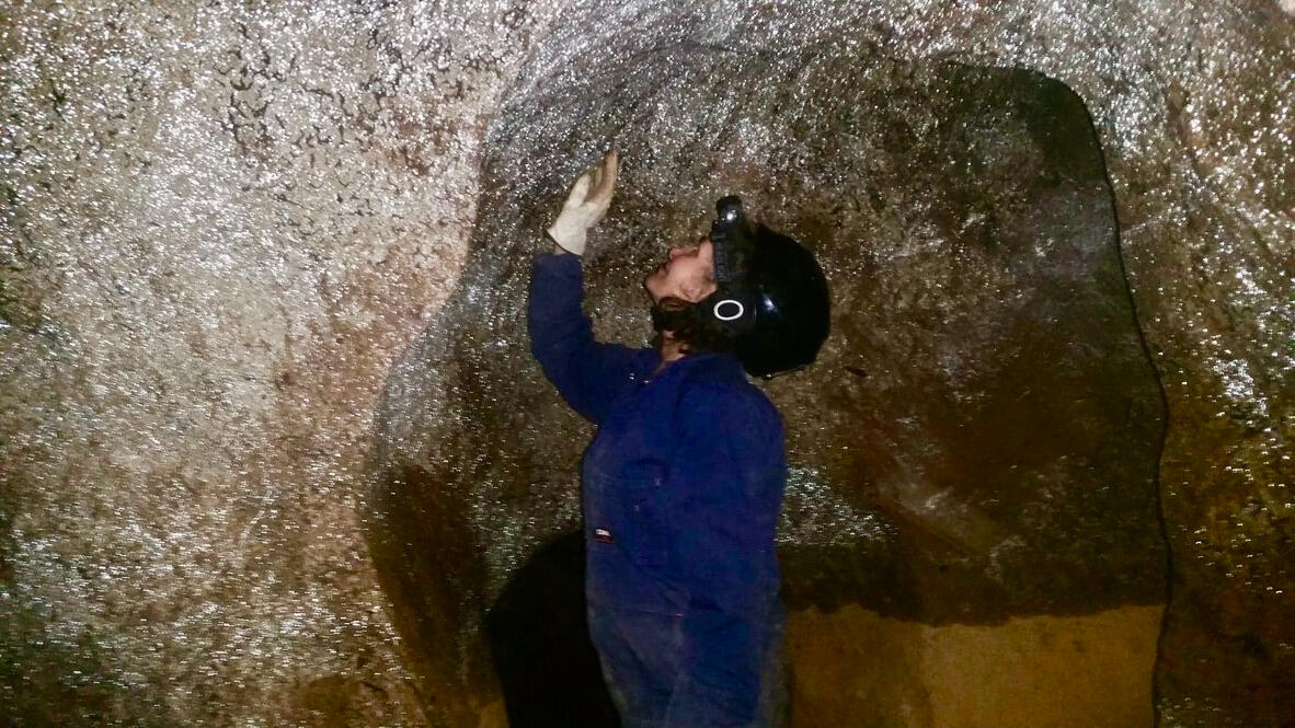 Colubrid Cave