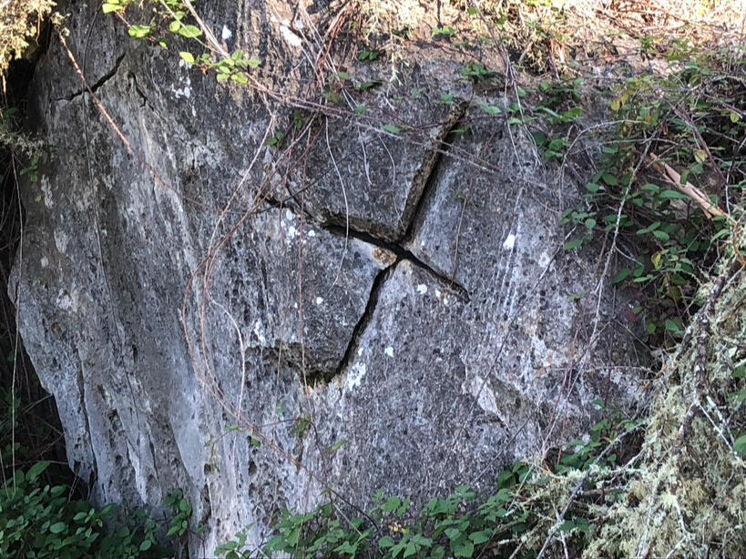 Colubrid Cave