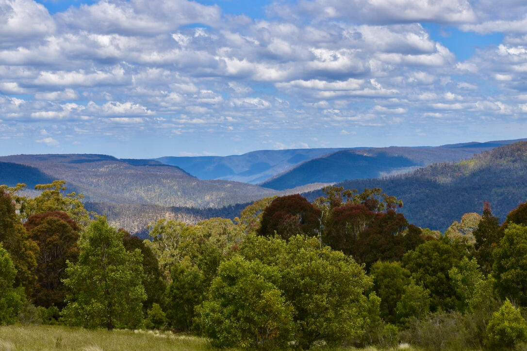 Kanangra-Boyd National Park view