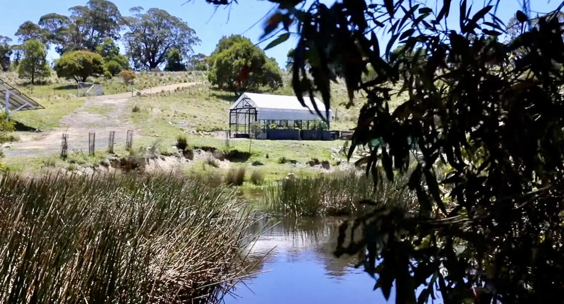 Glasshouse and dam