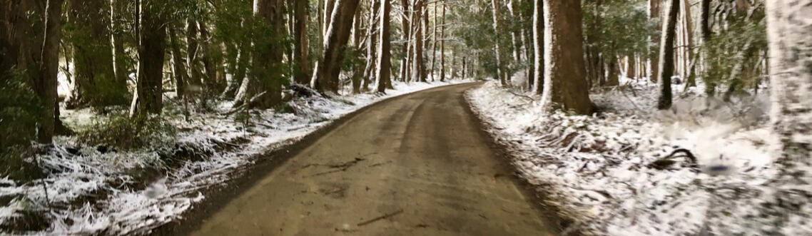 Tuglow Road, Gingkin